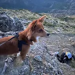 Sa Domo De Lillo E Arturo *
