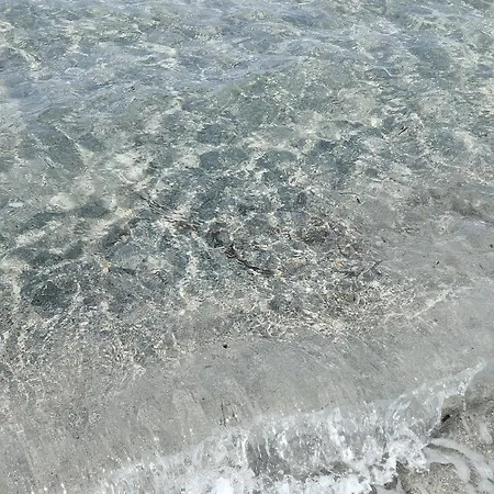 Daire Sa Domo De Lillo E Arturo *