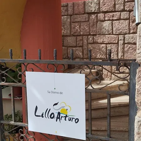 Sa Domo De Lillo E Arturo Daire *