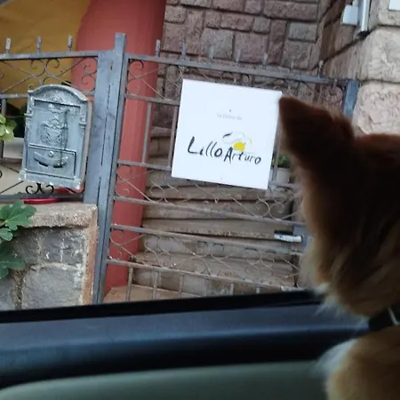 Sa Domo De Lillo E Arturo *