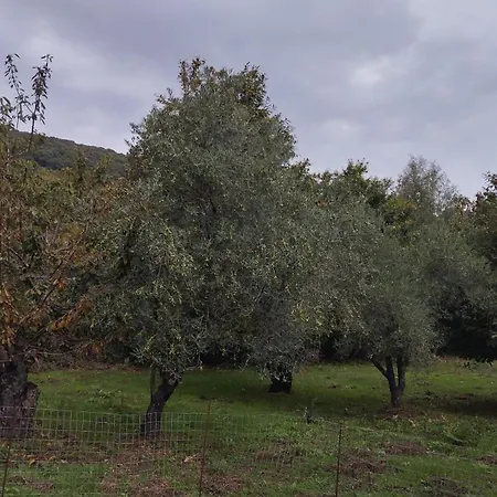 Sa Domo De Lillo E Arturo * Bonarcado