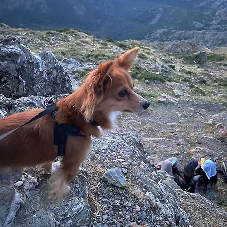 Sa Domo De Lillo E Arturo *