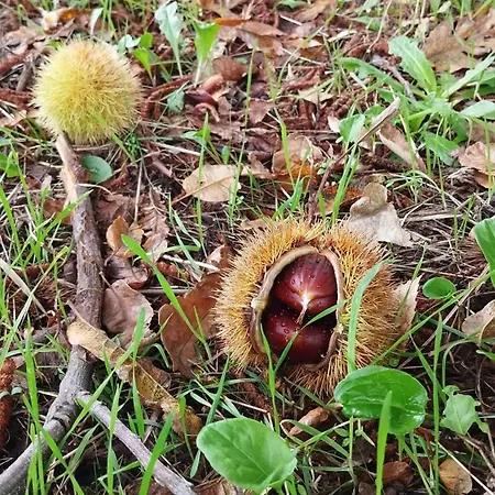 Daire Sa Domo De Lillo E Arturo