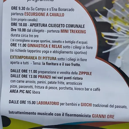 Daire Sa Domo De Lillo E Arturo Bonarcado
